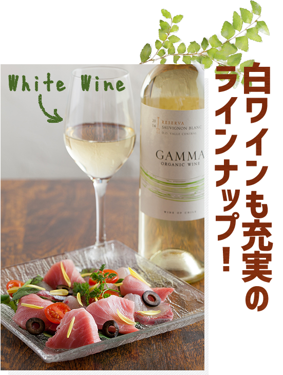 white Wine白ワインも充実のラインナップ！